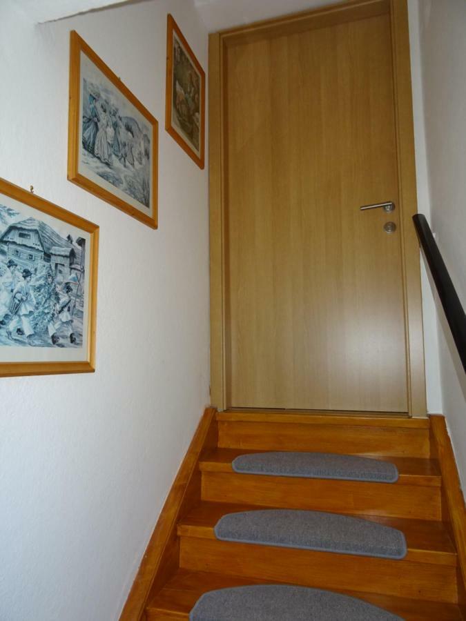 Apartment Tjasa ราโดว์ลิตซา ภายนอก รูปภาพ